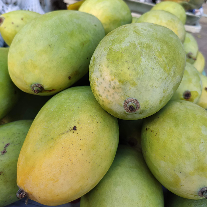 Xoài cát Hoà Lộc